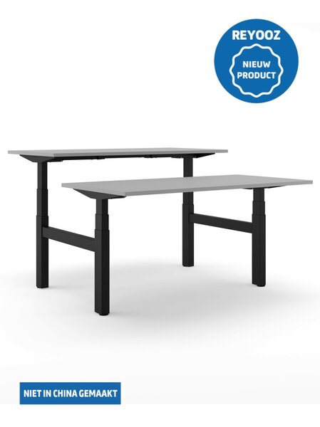 Laag-hoog duo bureau 